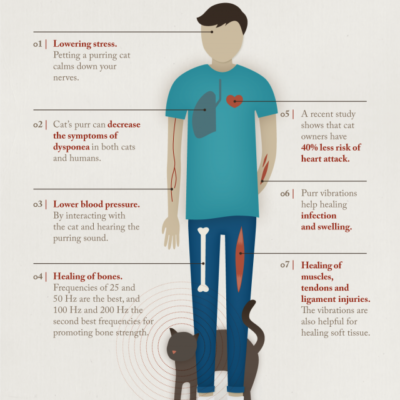 How cat purrs can heal