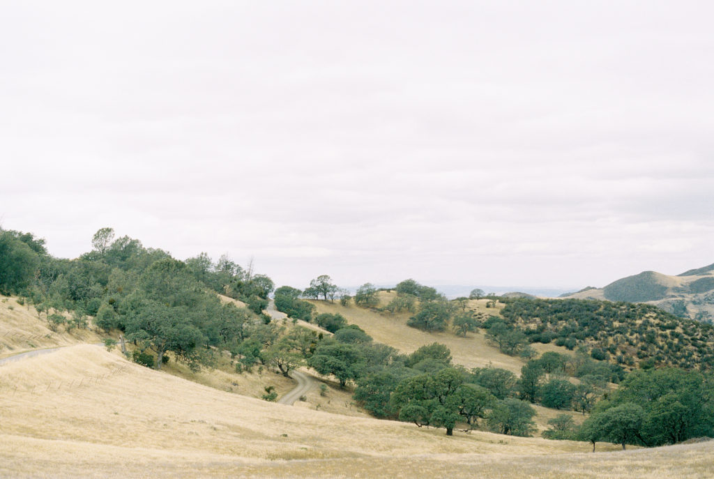 044_Brumley & Wells_fine_art_film_photography_California_destination_weding_Figueroa_Farm_House