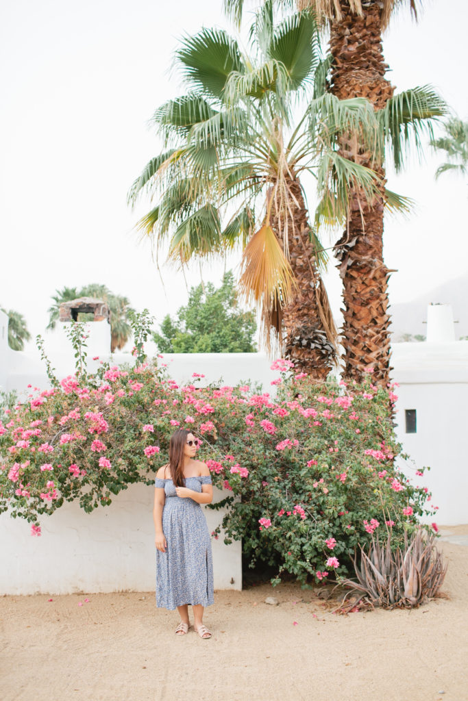 korakia-palm-springs-megan-welker-photography-for-bravwel034