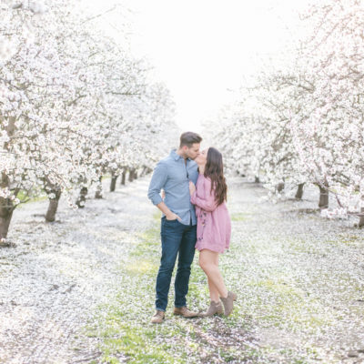 Almond Blossoms – One of our favorite things about where we live